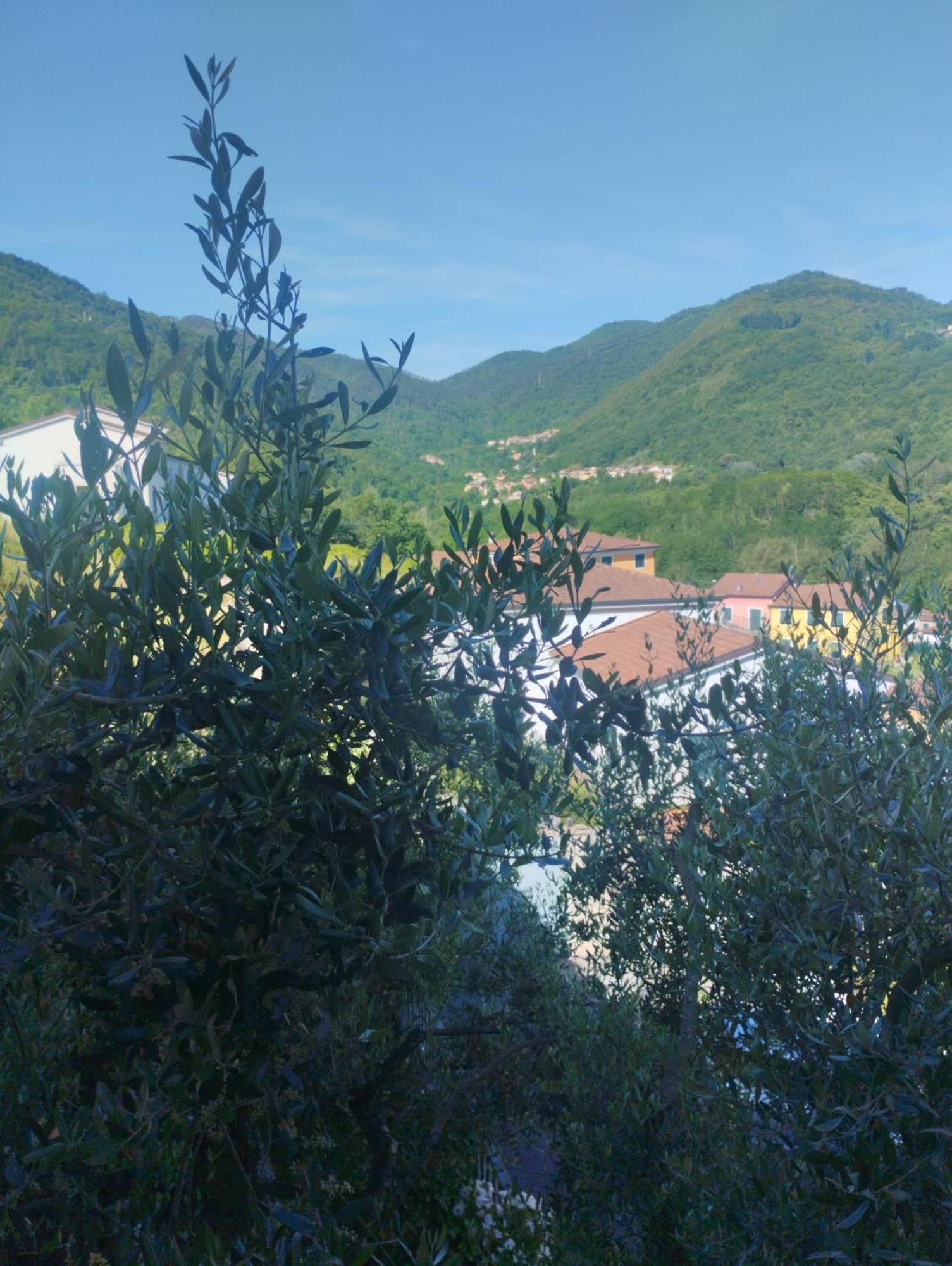 La Collina Riccò del Golfo di Spezia Exterior foto