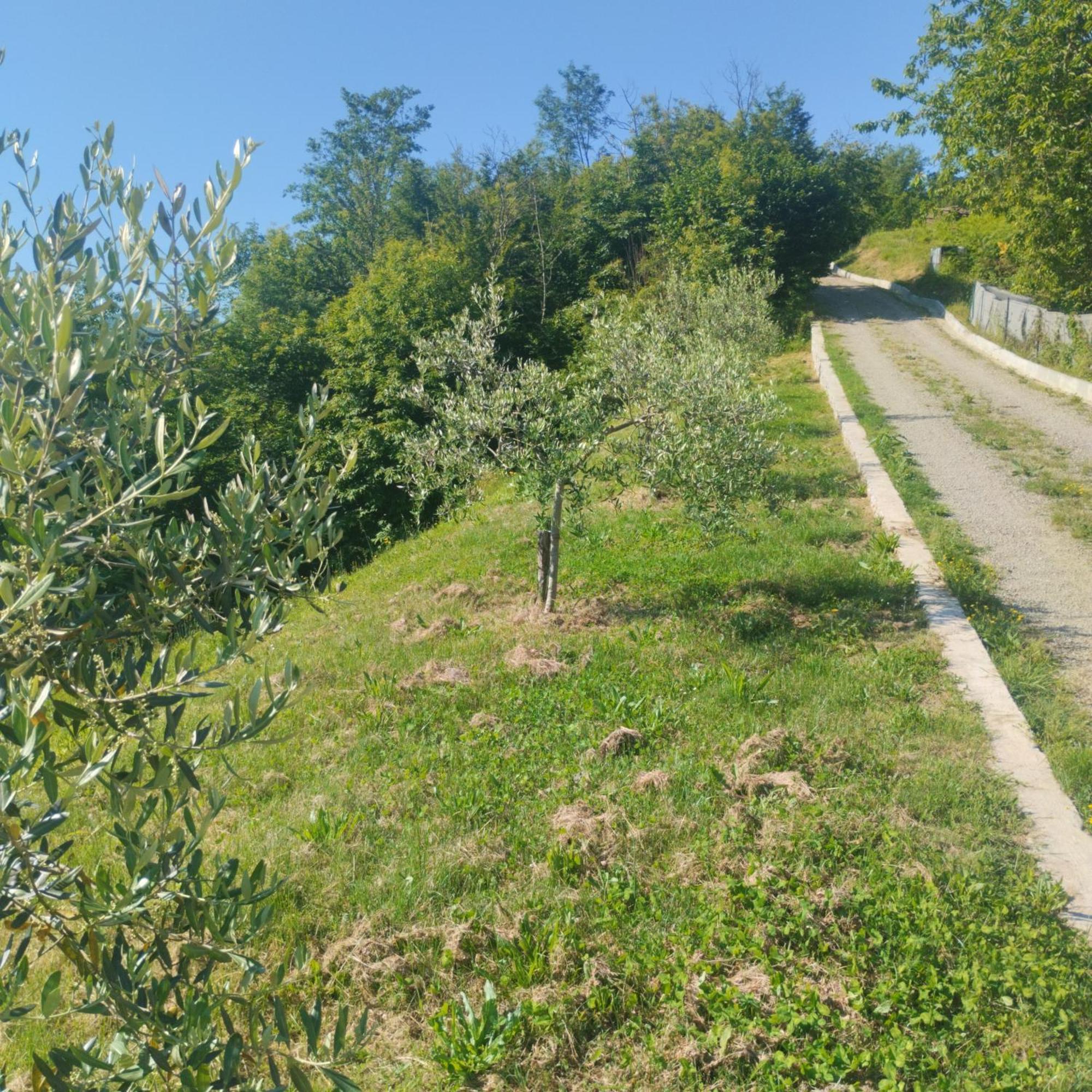 La Collina Riccò del Golfo di Spezia Exterior foto